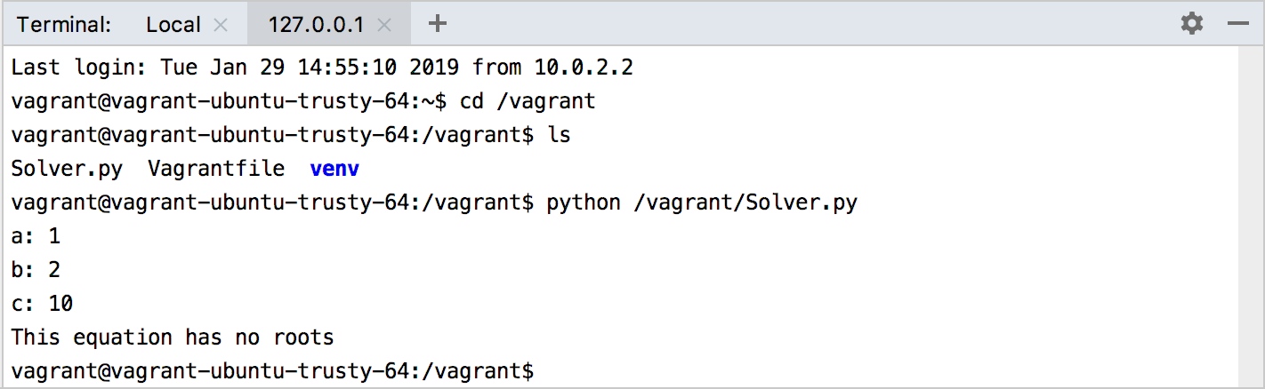 在 Vagrant VM 中运行脚本 在 Vagrant VM 中运行脚本
