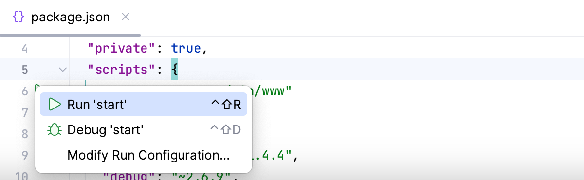 从 package.json 运行/调试脚本 从 package.json 运行/调试脚本
